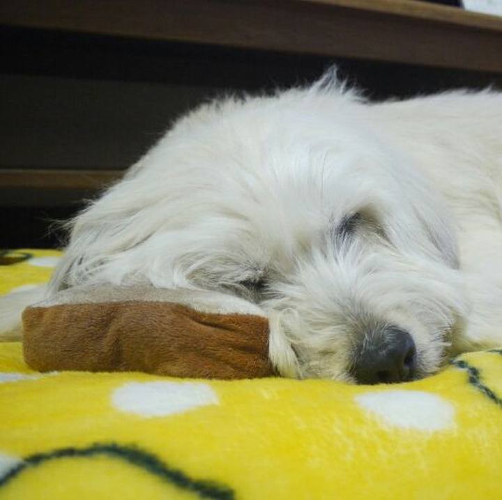 805bf661 ca8b 4783 92c8 18b42767136b