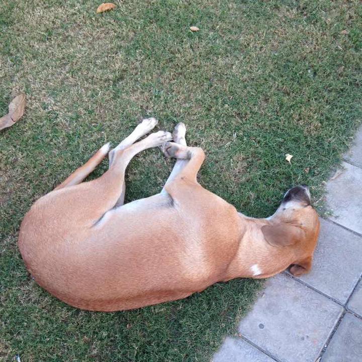 805c1697 da9d 45d6 b51c 480c38cf7876