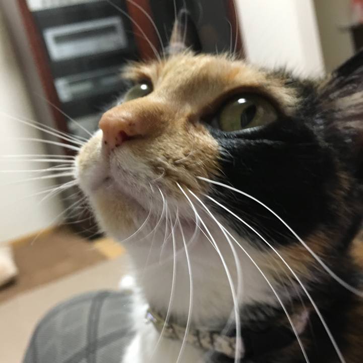 805c766a 5e21 49c7 a53a 2c7e7b587257