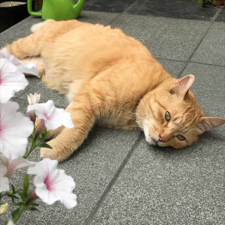 805da5dc 95ef 4da5 b860 98bd5e4b730e