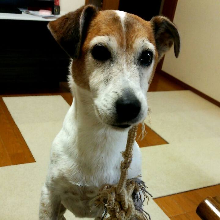 805e4159 1fb5 4bbc bd17 c9c3d90f074b