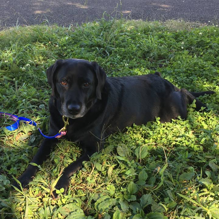 805eba90 98d5 4c77 9eba 1b39e42dec2a