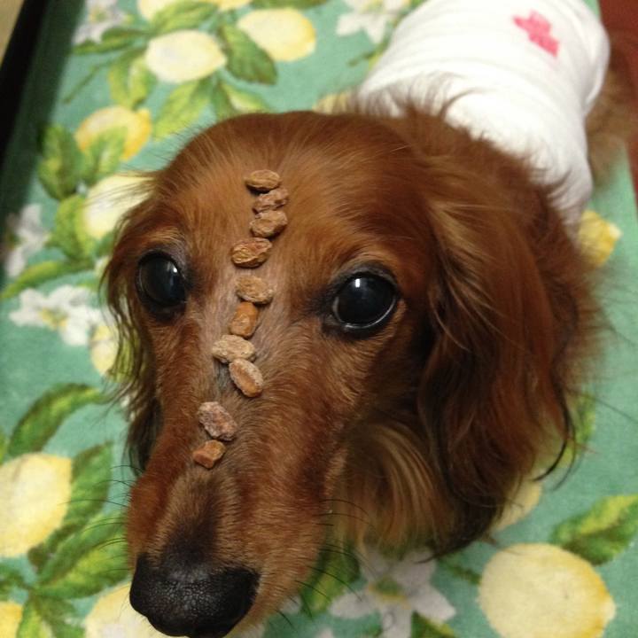 805ed591 6da6 4c11 a27a 5f42710d9045