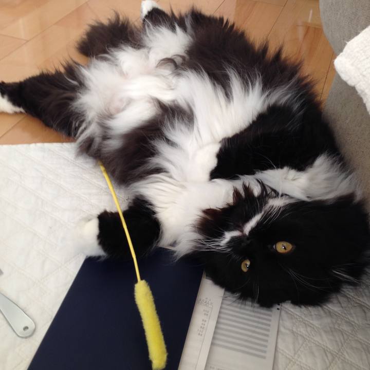 805eeab4 a4a5 4ef0 82f6 18188326cc09