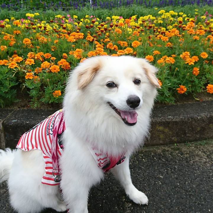 805ef831 f07d 4745 aea2 d5ab8a5a4729