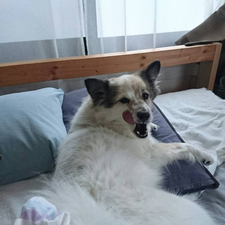 805f4e84 0906 473a 9bf0 3c2291d348ec