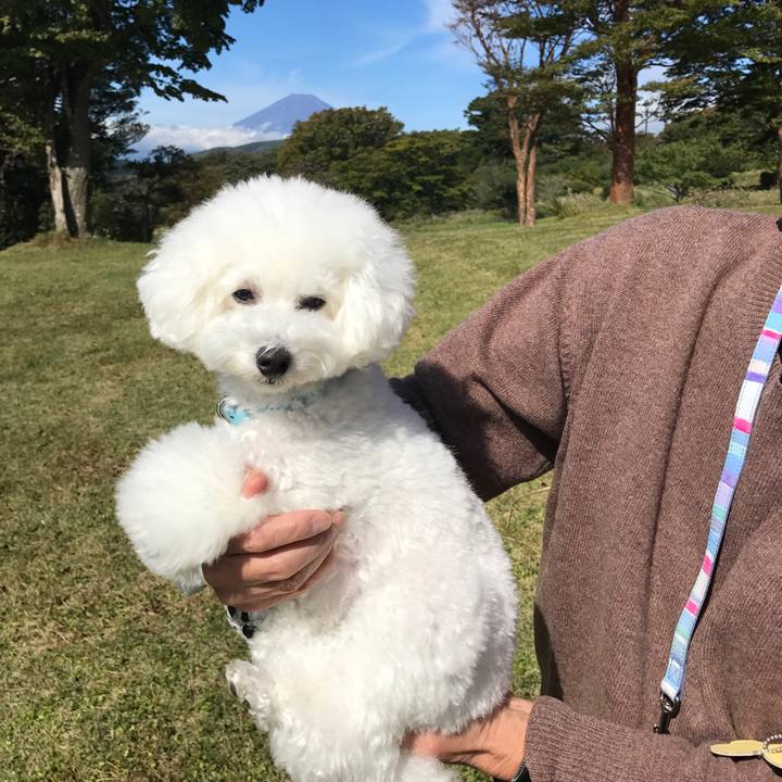 805fc5b8 8089 489b a909 17e9b9abbe00