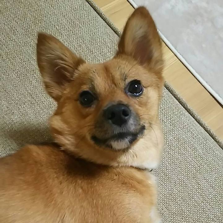 805fcd13 e0ff 427a af7f f3537943d5bd