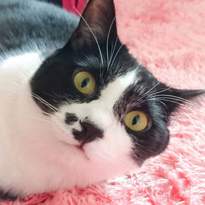 805fd81b 4711 46b5 bc48 1a1d62145a10