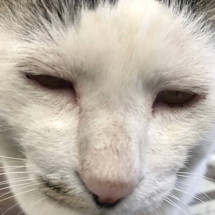 805ff84e 4533 45f3 aa0f 54c9e1256894