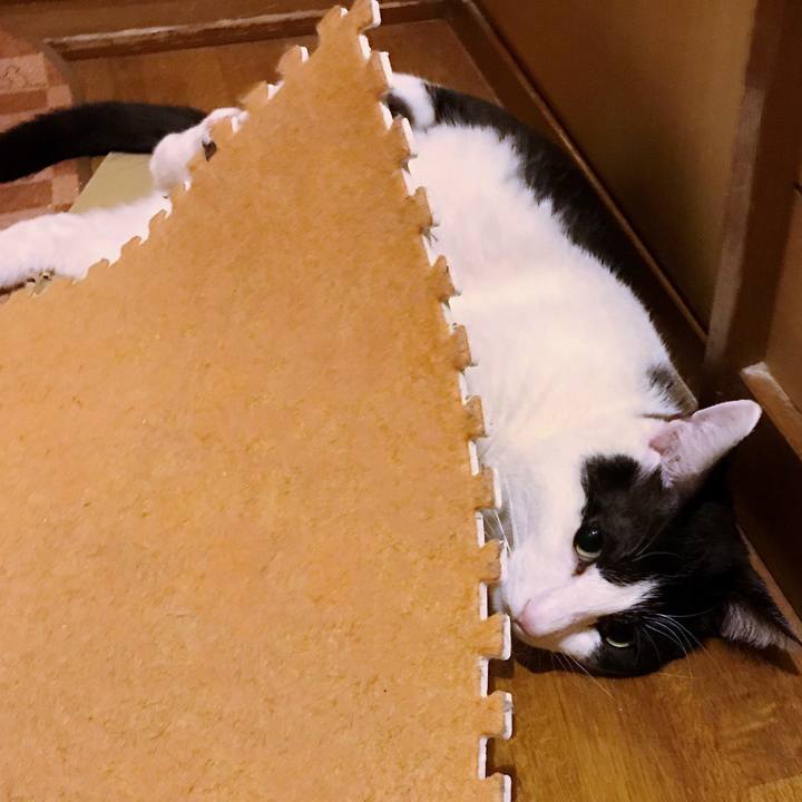 806008d0 b519 45b4 9fb9 f12405c2536a