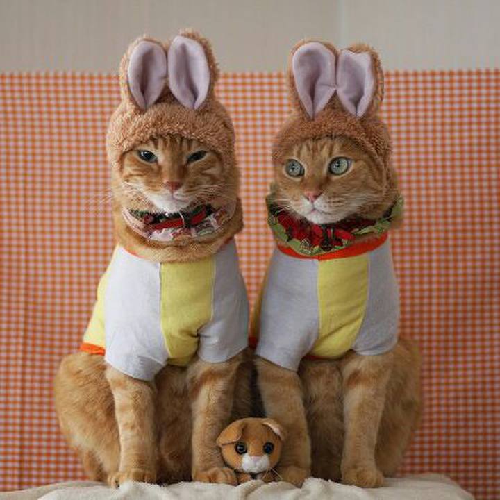 80603805 6de3 4c2b ae9d be6c5d59c0ef