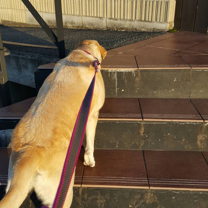 8060de7c 9e69 4edb a1a1 e35ebf34c46d