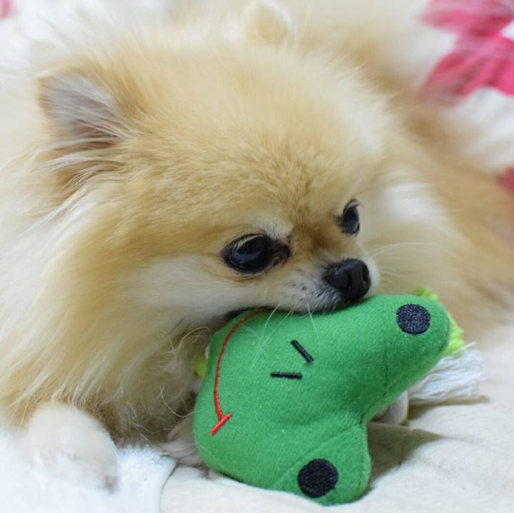 80610b46 2638 4df5 9163 3c0ea0b0c107