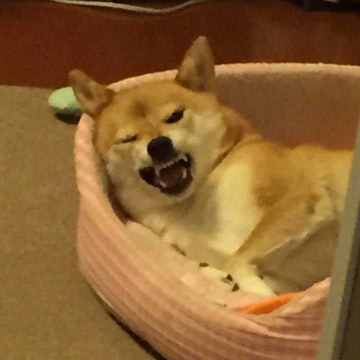 80611f81 09b4 4963 9732 a8f0611edfa8