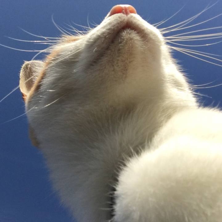 806151f4 57de 43d9 9401 fba195369c6c