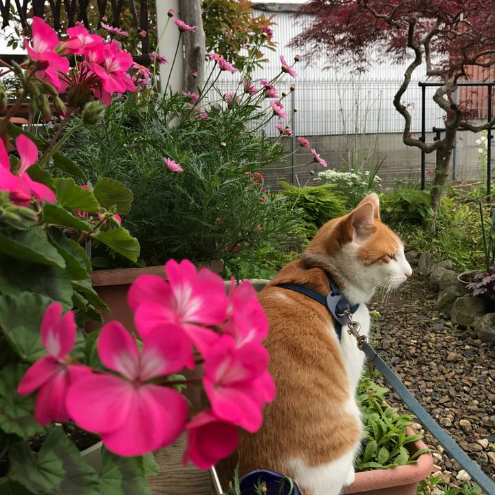 8061d0cd 15c4 49cc 8956 64742700f2d4