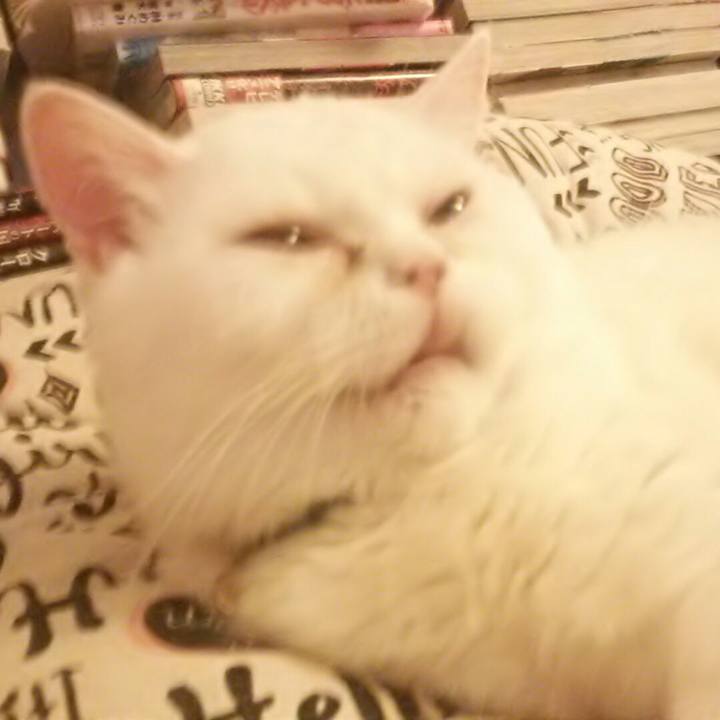 80627e28 0410 4e19 a909 b5321c6250bb