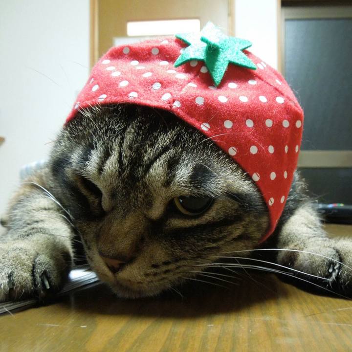 80636800 3f8d 4172 b517 3107800c0ed3