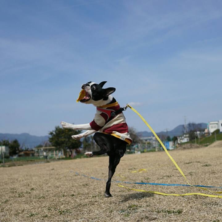 80638560 ea8d 4563 9c7e 53ca439276f3