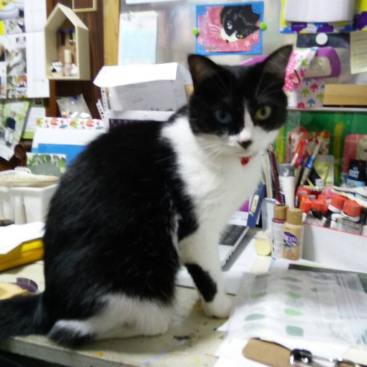 80648be1 69ff 4e39 a39e 58ab87e78cbe