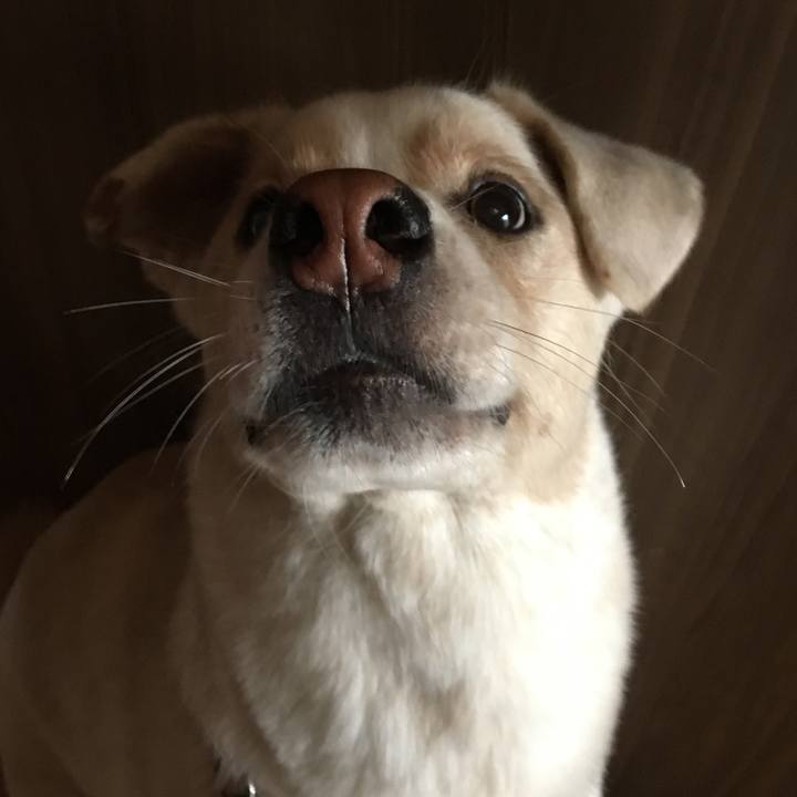 80650e35 fa47 48e7 91aa 2d8ff576ea50