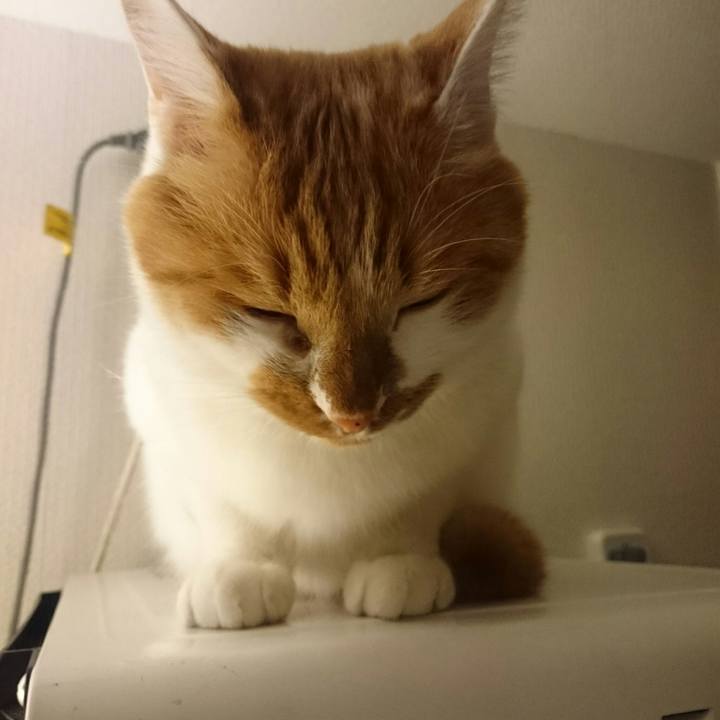 80651cc3 4b9b 43e2 8916 a9a320aca714