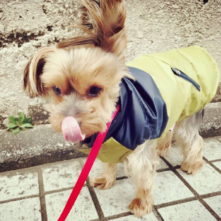 80654860 c2af 4e9e 8c8f bd8e710246dd