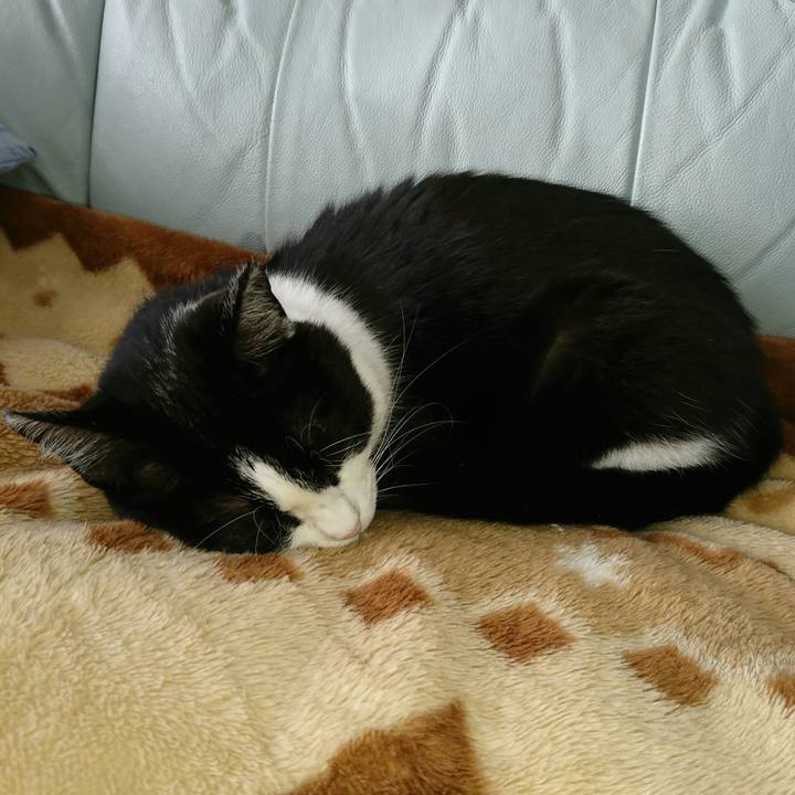 806608dc 64dc 4ad3 9171 00f6f6204c88