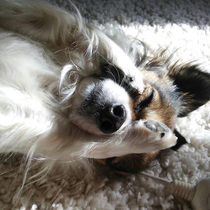 80666685 20d6 44cd ba1e 9079b13d0b16