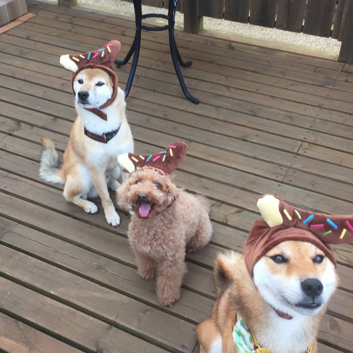 8066fa1f 4cc2 4902 b11a 67df3b399521