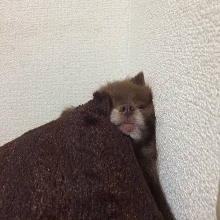 80675d50 2d67 4664 9b3f 8e6c33b02595