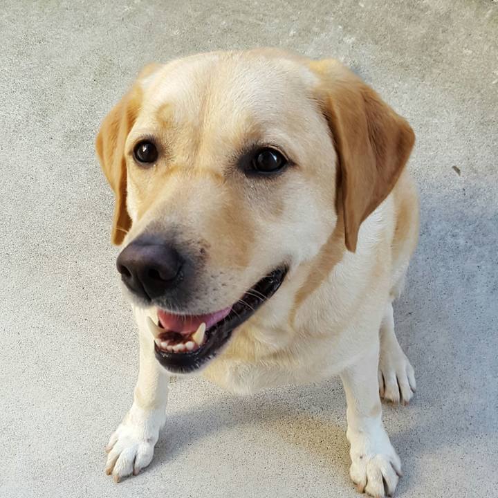 8067683b eb26 4631 af89 6cf3cbf4bb63