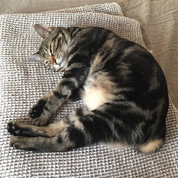 80678d7c f383 432a 8a99 66cca0ea5cfe