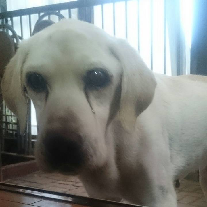 80683de5 49ad 4284 bf58 ac0de4d3cd1d