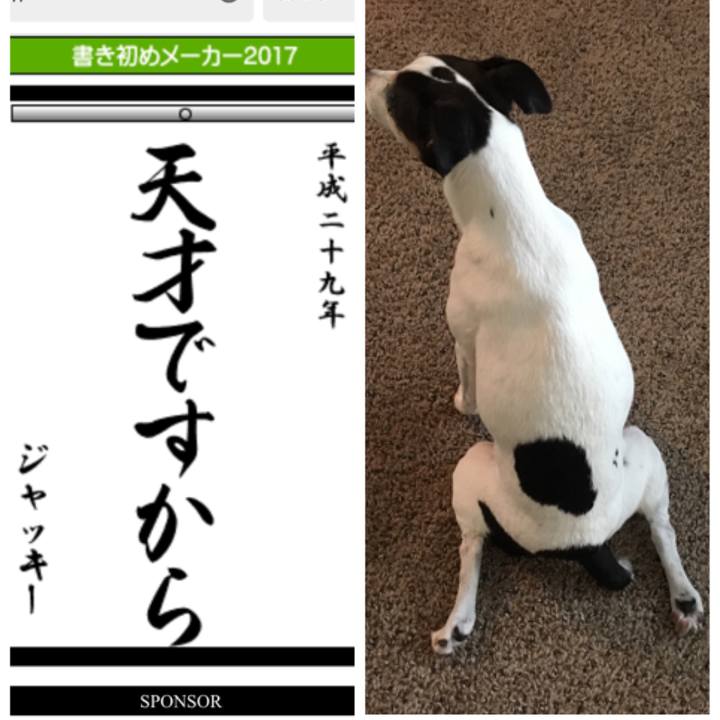 8068ec43 2dd8 48b8 9fa0 0d5b0d32aaf5