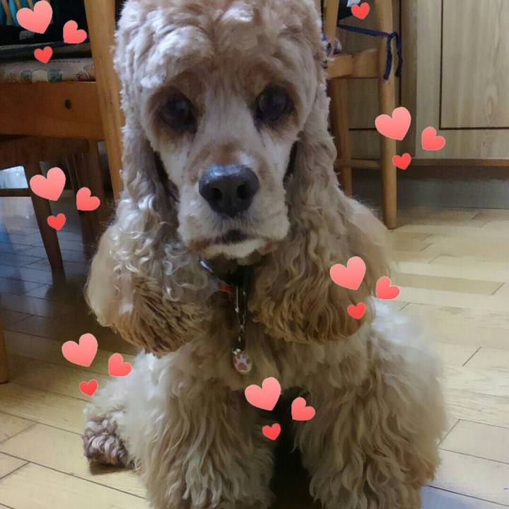 8068ffb9 03c7 4f64 ab7a 50a5e4a025f6