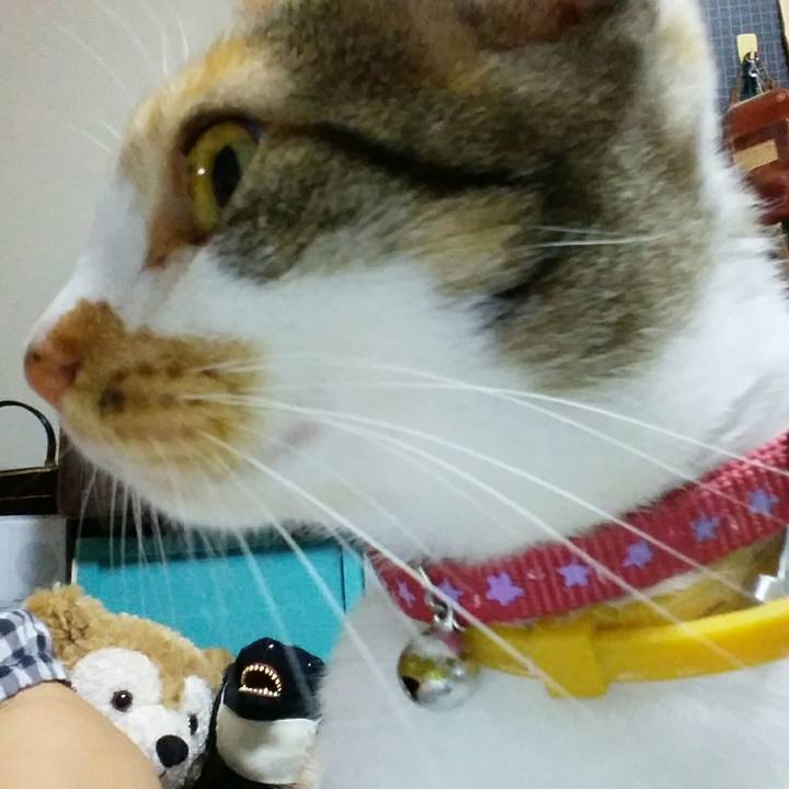 80695a52 be92 4fa5 bf3c 385d00bb4d8f