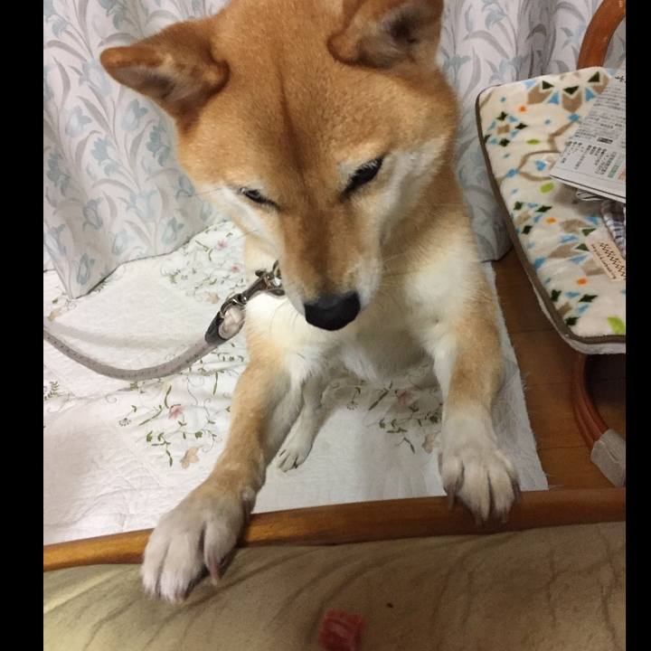 8069cf52 7682 4693 816d 290ec1935576