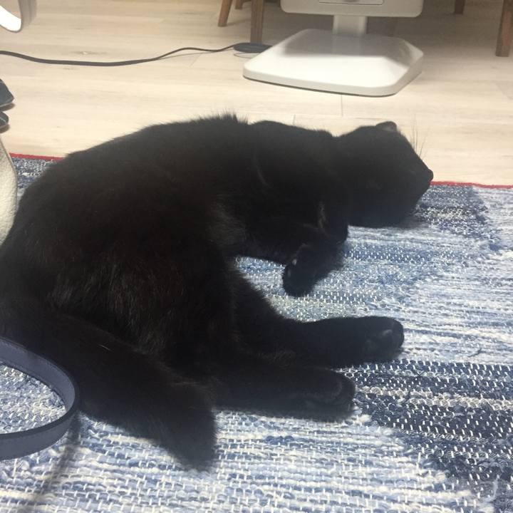 8069f638 c485 4873 9013 f1c5c35cac73