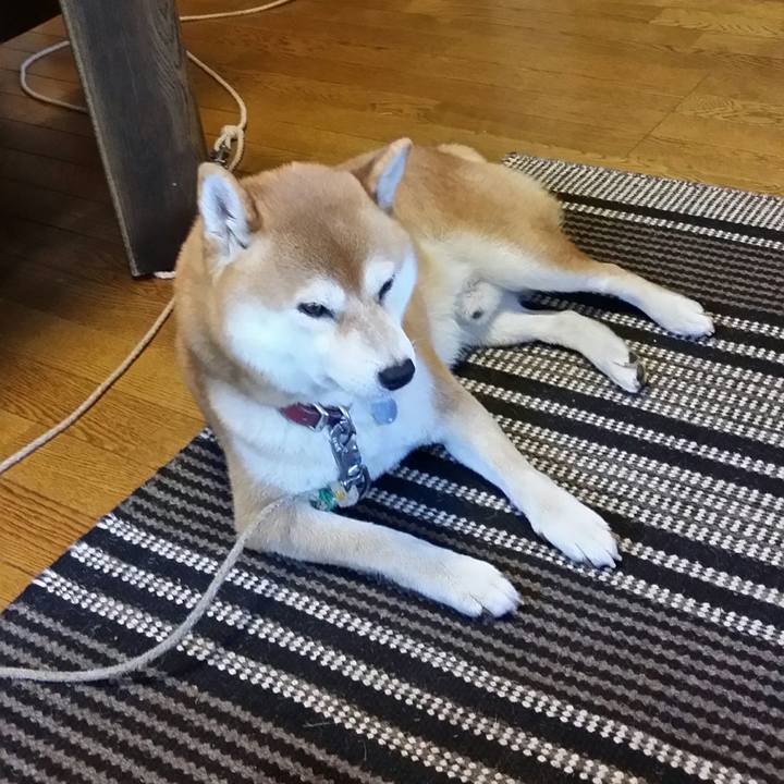 806bb066 fece 4ee1 a318 3fc5177b0c11