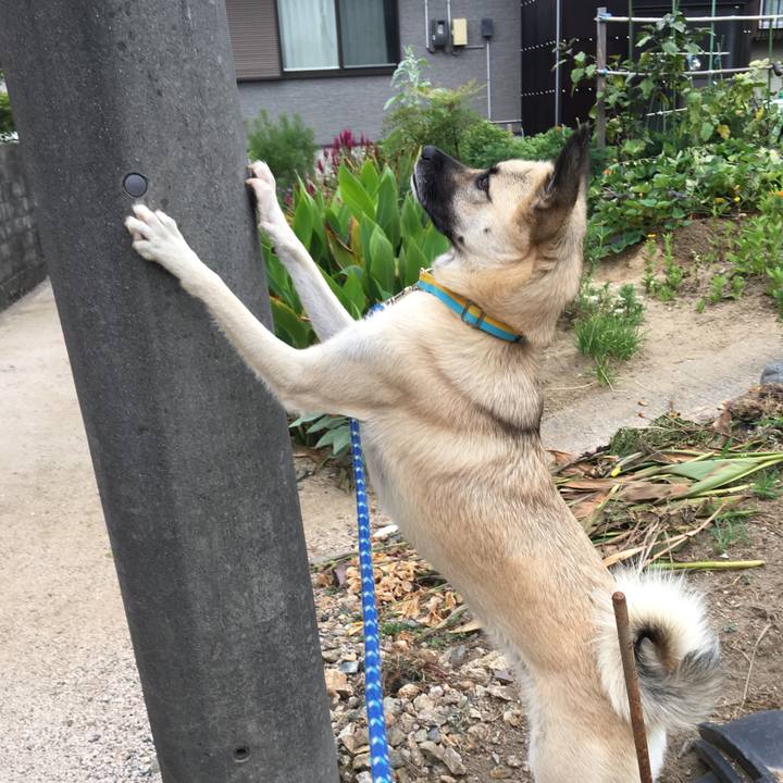 806be125 c1e1 409f 8d6a 04504ce93c5c