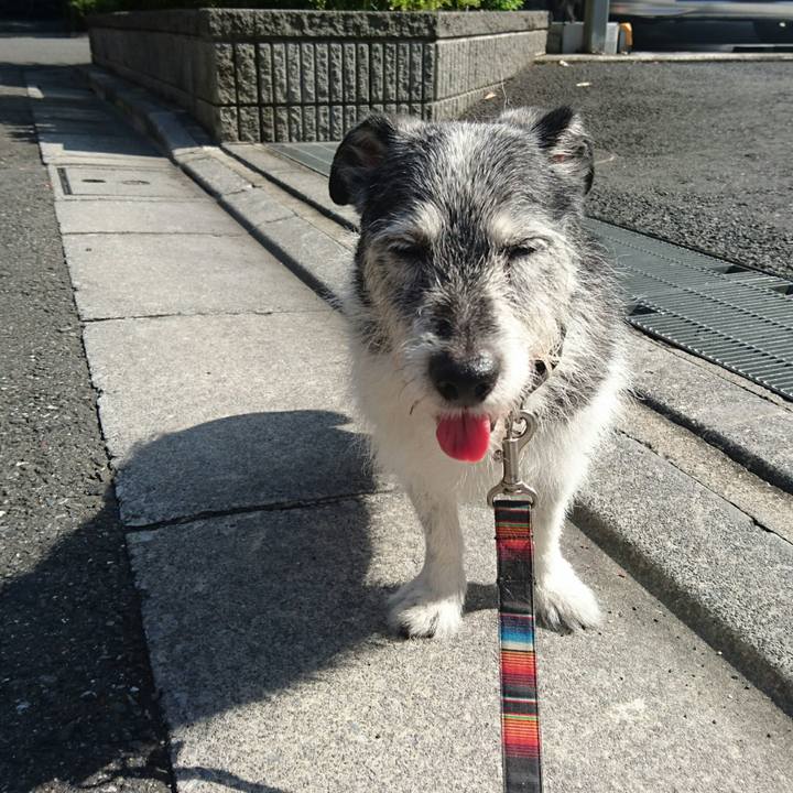 806c2b02 ad81 4da7 a7b3 9b5715bd2e42