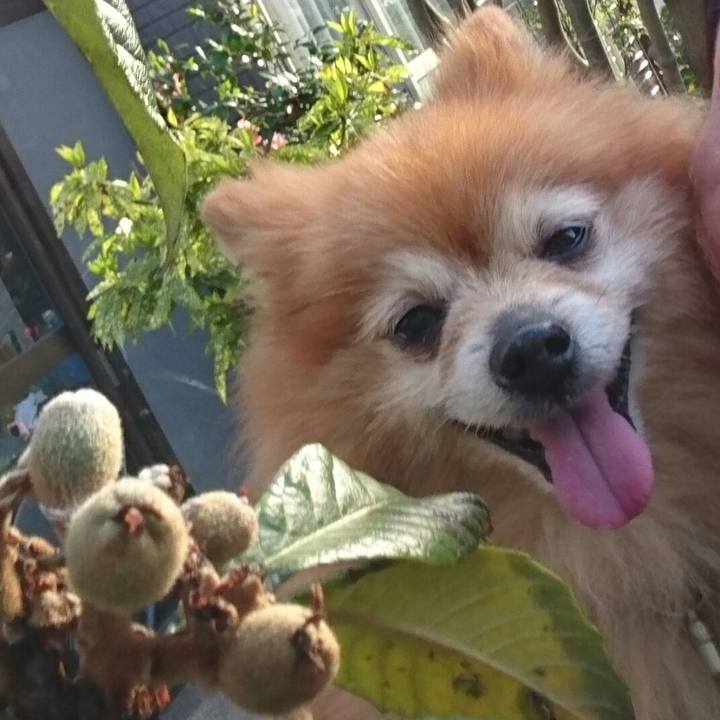 806c5b17 777a 4de2 a139 7f06248da97b