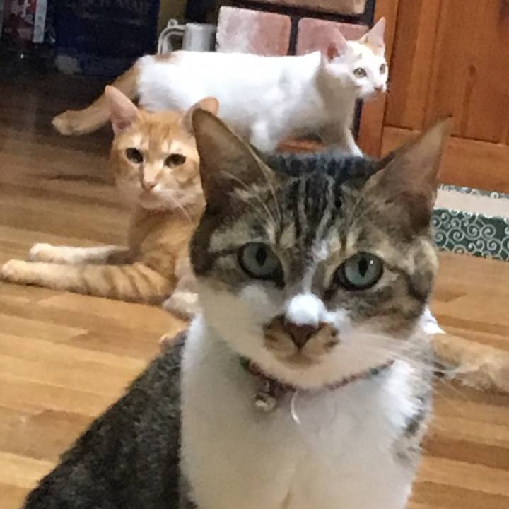 806d0a5e 3e66 4011 bc09 6d613ee670e9