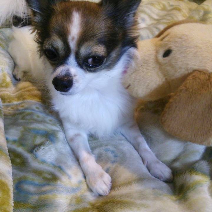 806d1b35 2ba3 483c 9fbc fdb938e7c057