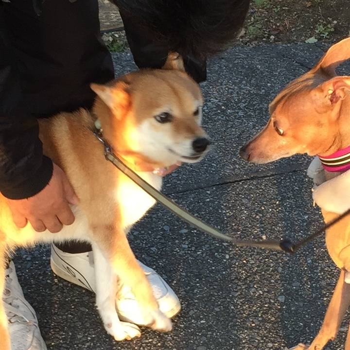 806db894 1fc0 4430 b976 449461e67331