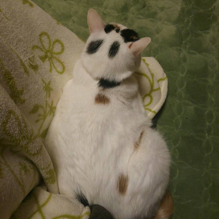 806e0d53 e658 4422 abcd 75b99882e5d1