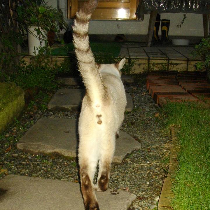 806e8bda 1b3b 4bd8 a861 fb619c5ac2af