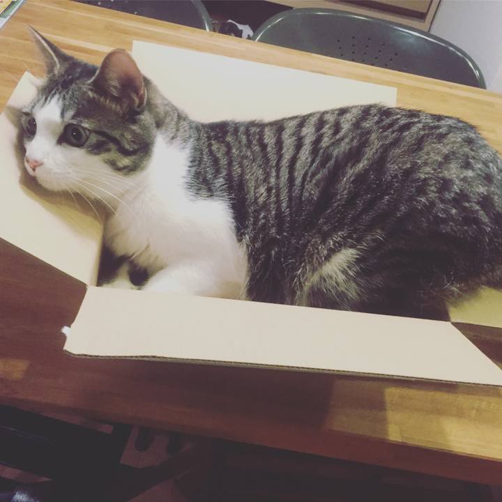 806f46dc af92 40d5 a64c 2946f16d5e54